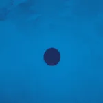 مذهب الحياد