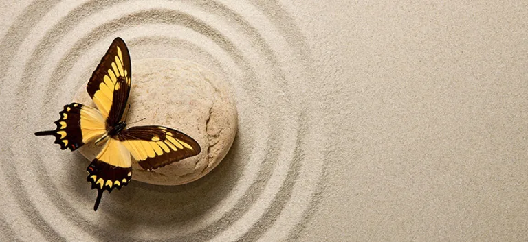 حقّ طبيعي (Droit Naturel)