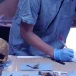 الأنثروبولوجيا