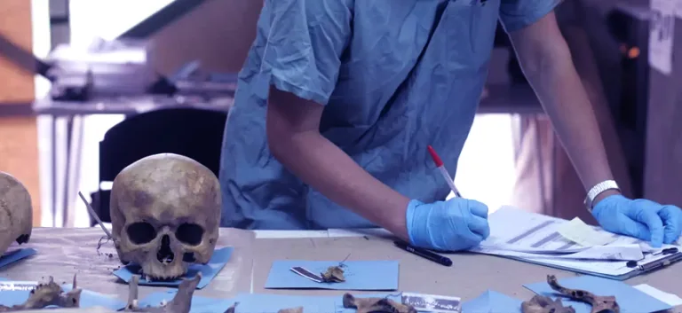 الأنثروبولوجيا