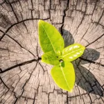 الحداثة (Modernité/modernity)