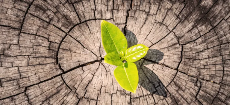 الحداثة (Modernité/modernity)