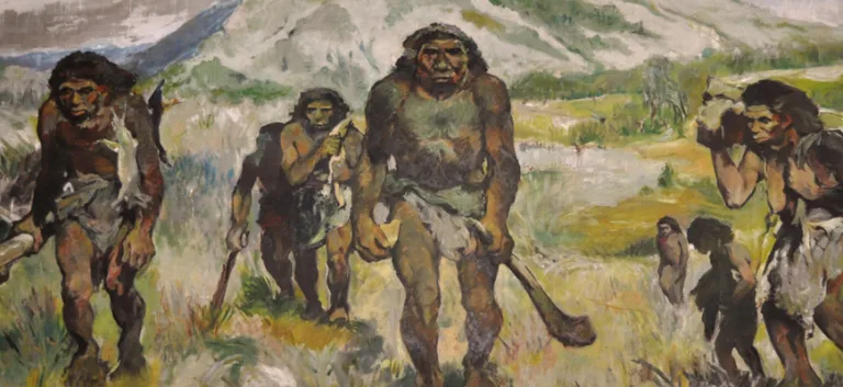 البدائية (Primitive)