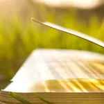 المصلحة المرسلة