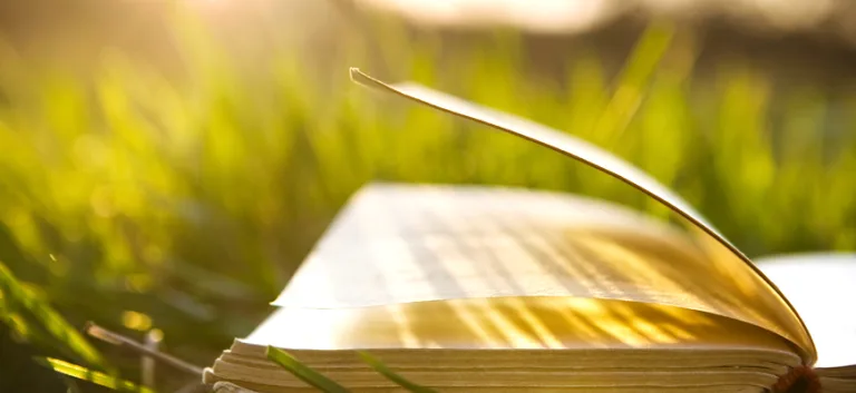 المصلحة المرسلة