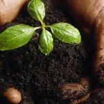 التجربة السيكولوجية في المغرب: ضعف العرض وارتفاع الطلب