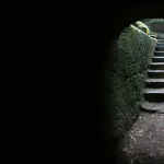 فينومينولوجيا الأحوال الوجدانية عند هايدغر