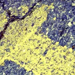 منحى التفكير الفقهي في التاريخ المعاصر: مساهمة الطاهر بن عاشور أنموذجًا