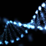 الابستمولوجيا (L’épistémologie/Epistemology)