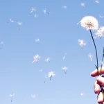 عقائد الدين بين المعرفة النظرية والإيمان العملي: كانط أنموذجا