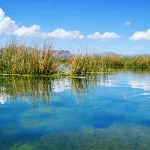 تجربة الحاضر في عالم العيش