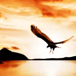 حرية المعتقد في معادلة الدين والتاريخ والفقه: نحو أنموذج إرشادي جديد