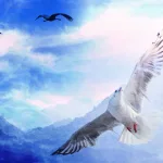 الحرّية في الإسلام ومنطق الطير في السماء