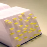 آفاق الدراسات الرشدية اليوم