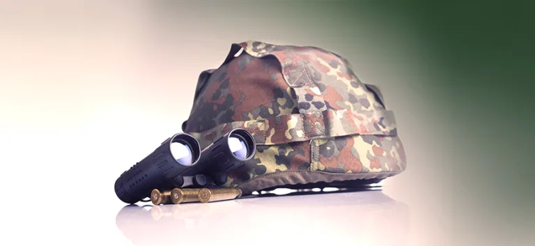 النظام العسكري