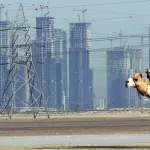 قراءة في انهيار مشروع الحداثة العربي