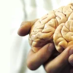 العقل وارتهانه إلى الانفعال الدينيّ