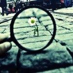 التسامح الديني: من التطرف إلى حرية الاعتقاد عند جون لوك