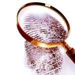 الشخصية من منظور التحليل النفسي