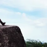 شغف الديمقراطيّة عند تودوروف