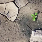 المـمكن والمـسـتحيل في نظـرة  نيتشه للعالم