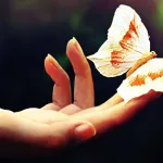 سؤال الدين والحريّة في الفكر الإصلاحي العربي