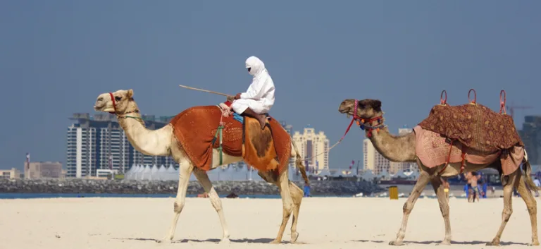 نحو استكمال معارك النهضة العربية