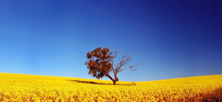 الإيمان والشكّ من منظور سوسيولوجي وبراغماتي