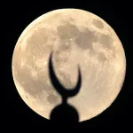 التداخل بين الأصولي والمنطقي في فكر طه عبد الرحمن