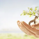 أثر الأخلاق الكانطيّة في الفكر العربي المعاصر