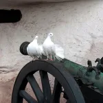 سلم الحرب في الإسلام: مقاصد الآمنين