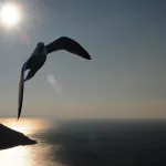 محورية العدل في الخطاب الديني الإبراهيمي