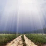 الأمر بالمعروف والنهي عن المنكر في كتب التفسير