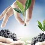 من الفضائل الأخلاقية إلى الفضائل السياسية