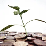 الإسلام والأخلاق والرأسمالية