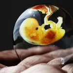 البيوإتيقا مقاربةً علمانية