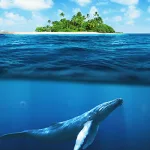 الحيوان من النصوص المقدّسة إلى النصوص الحوافّ: قراءة في التحوّلات