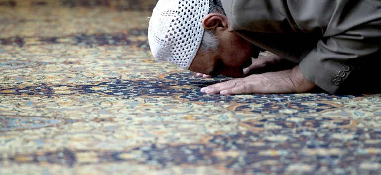 الشريعة في وجدان المسلم العادي