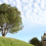 المعتقدات الدينية والمعتقدات السياسية