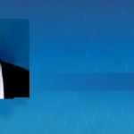 حوار في التصوّف والسلفيّة مع الدكتور مبارك حامدي: أسئلة الماضي والحاضر