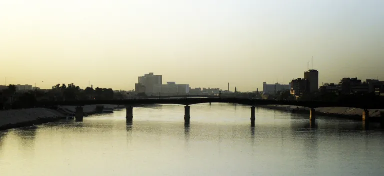 "داعش" والعلوم الاجتماعية