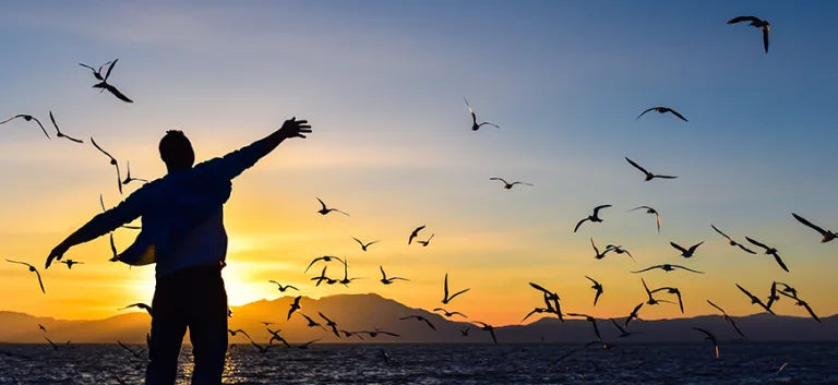 في الحـريـة