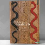 "أوهام الإسلام السياسي" لعبد الوهّاب المؤدّب