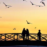 مفهوم الحريّة في الإسلام وفي الفكر الغربي: رؤية بانورامية