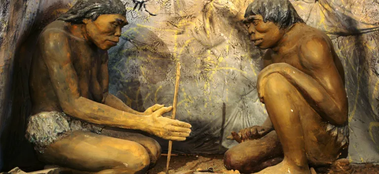 حول بعض أشكال التصنيف البدائية