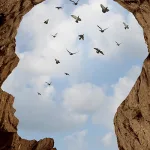 حريّة الضمير في الفكر العربي المعاصر: من الأنسنة إلى الدسترة