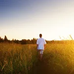 الفيلسوف وسؤال الأنسنة والأرضنة