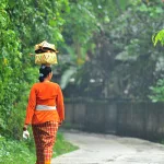 النمط الثقافي (Cultural Pattern)