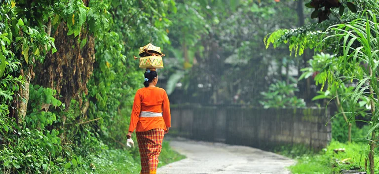 النمط الثقافي (Cultural Pattern)