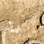 علم الآثار (Archaelogy)